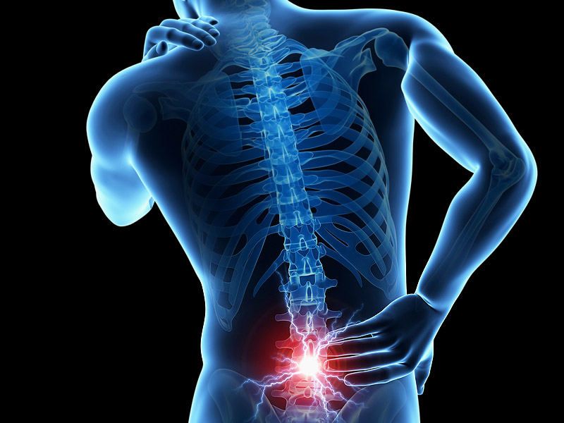anatomy of spine and back pain